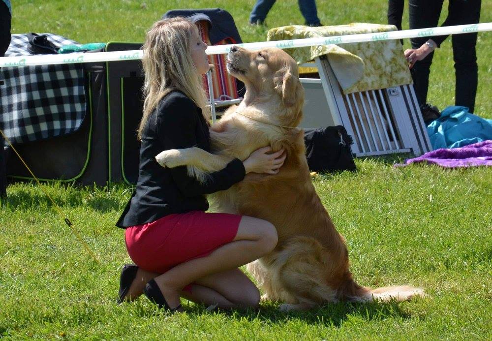JCH CZ, CH CZ, C.I.B. Brilliant Leader of White Enny ''U'' - 7x R.CAC, CWC, 7x CAC, 6x CACIB, 4x BOS, 3x BOB, 2x BIG 5, BIG 1, Vítěz kraje Vysočina