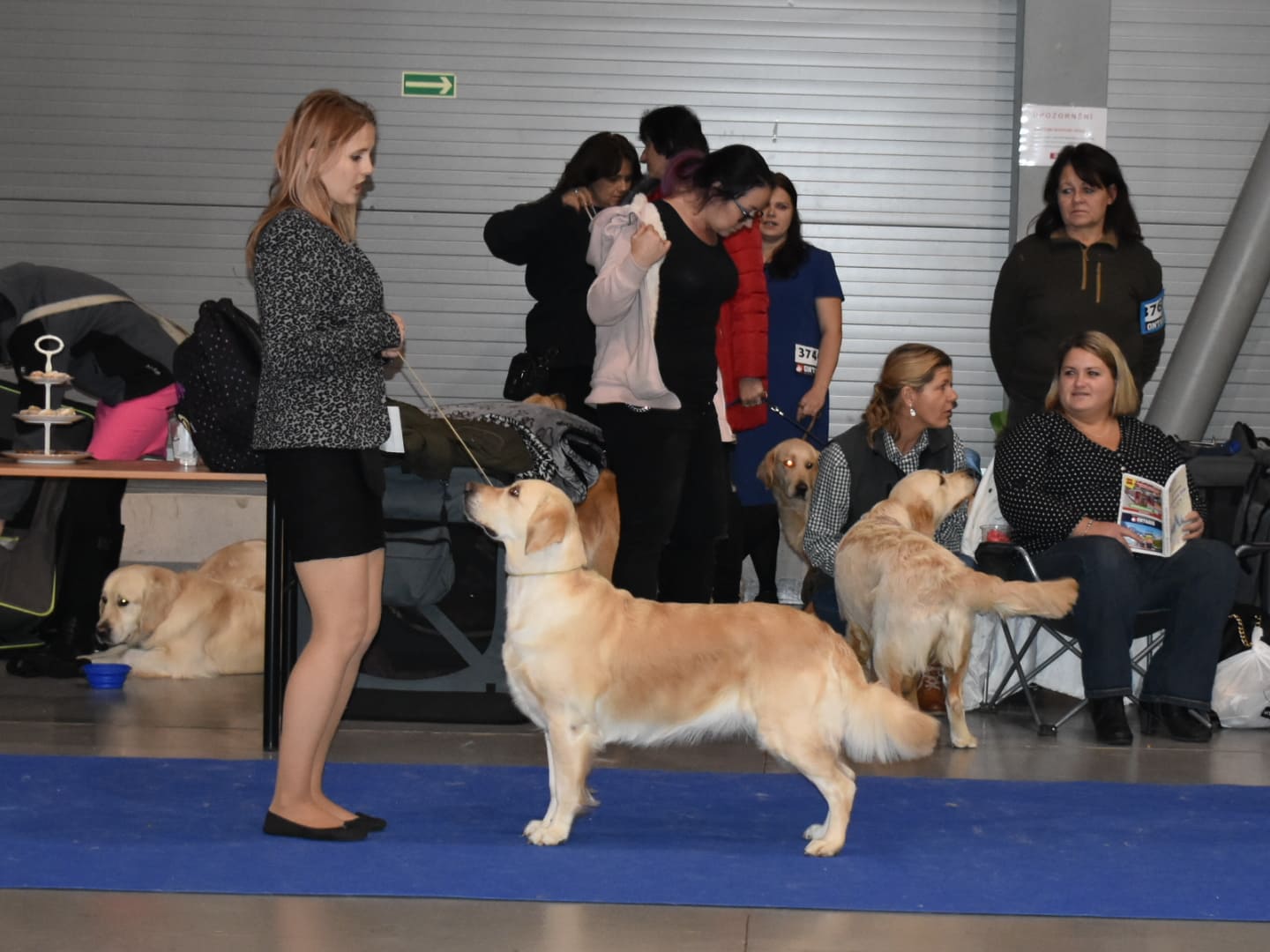 CH CZ, PL Barkasa Barking Love - 2x CAC, 2x R.CAC