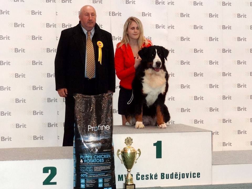 JCH CZ Best Snow Princess Czech Paws - CAJC, BOJ, BOB, JBIG, JBOD