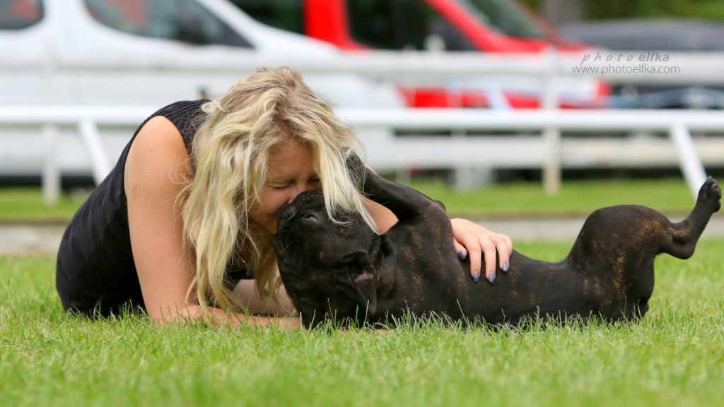 Multi CH Tera Tanro Duglas - R.CAC, CAC, R.CACIB, BOB, BIG 2