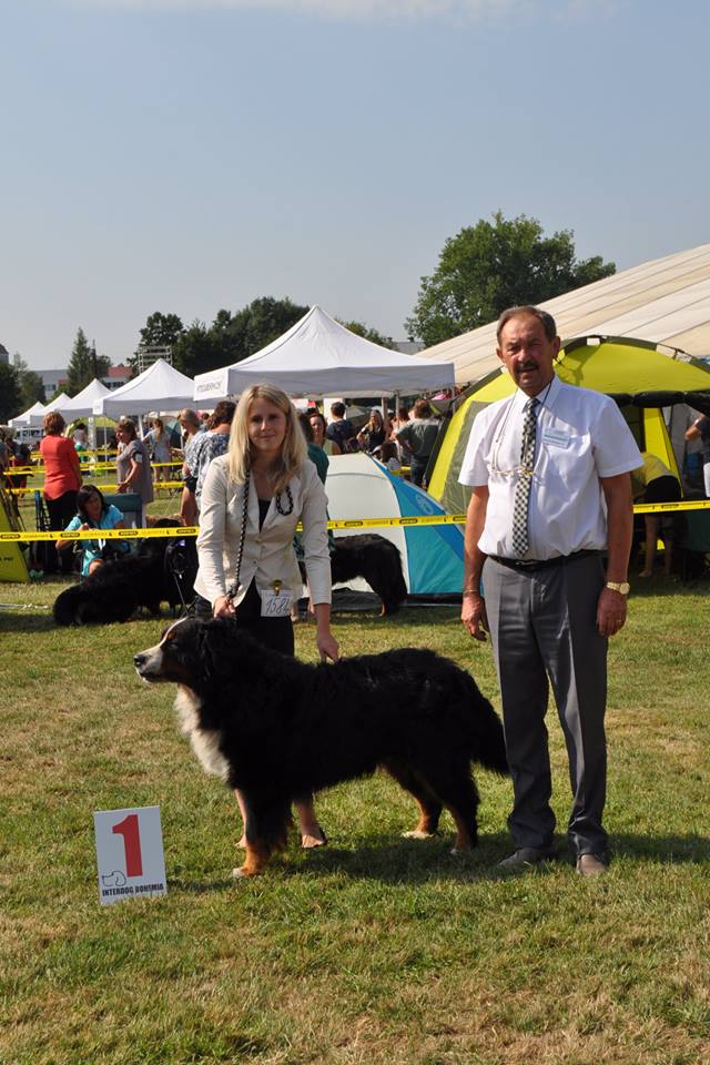 CH A Simir von der Bernesshof- 2x CAC