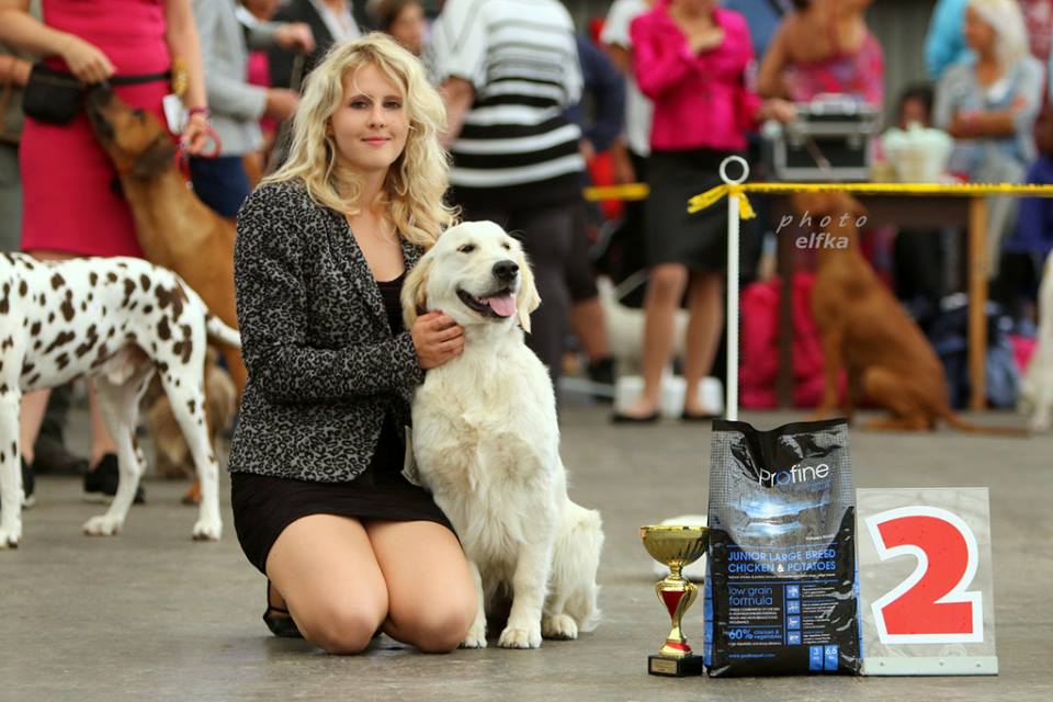 Galaxy Dorado Blanco - Res.BIS Puppy, CAC, R.CAC