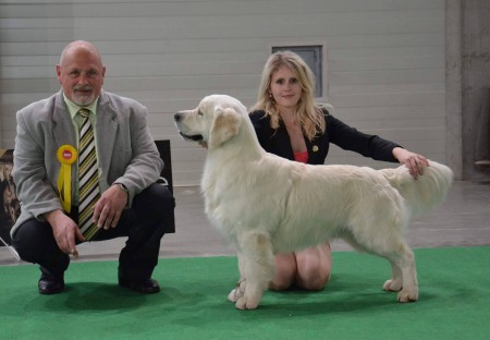 JCH, CH Right Hunter Show Leader - CAC