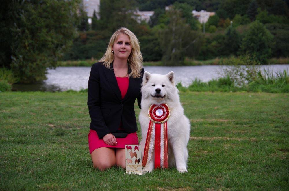 CH Comedy In My Heart Tatranská Žiara - 2x R.CAC, 2x CAC, CACIB, BOB, BIG 4, BIG