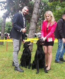 Eliot od Hradu Valdek - JCWC, CAJC, 2x BOJ, BOB, CAC, R.CACIB